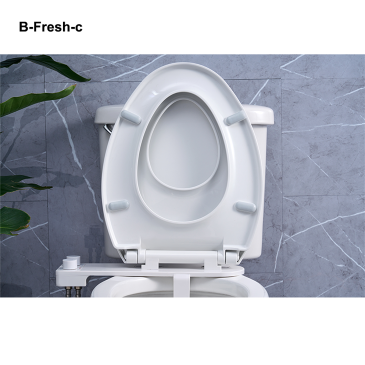Beste bidet voor toilet uit één stuk