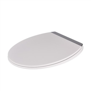 Wandhangende toiletbril