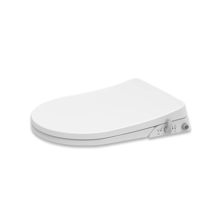 toilet seat with a bidet