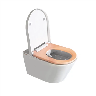 Bidettoilet met warm water en droger