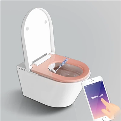 Luxe slim toilet met afstandsbediening en droger